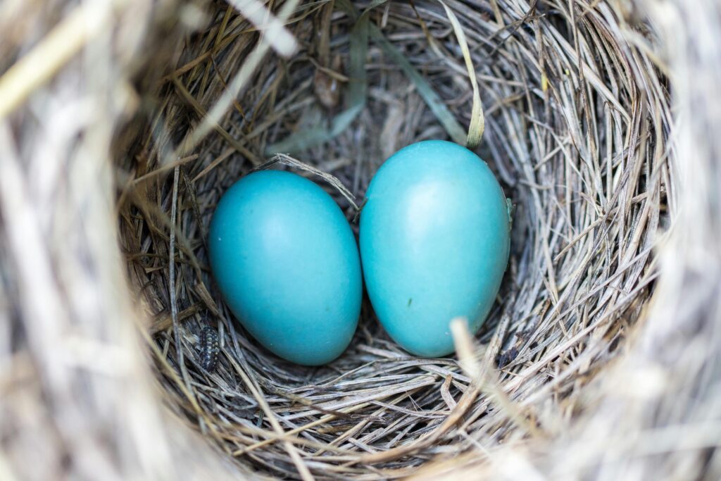 Nesting: The pros and cons of parents rotating homes - Lester T